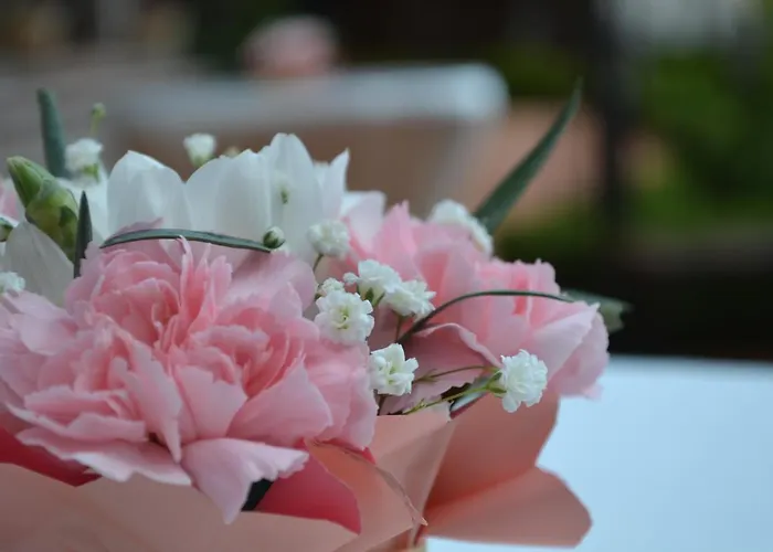 & Diamant 4* Napospart